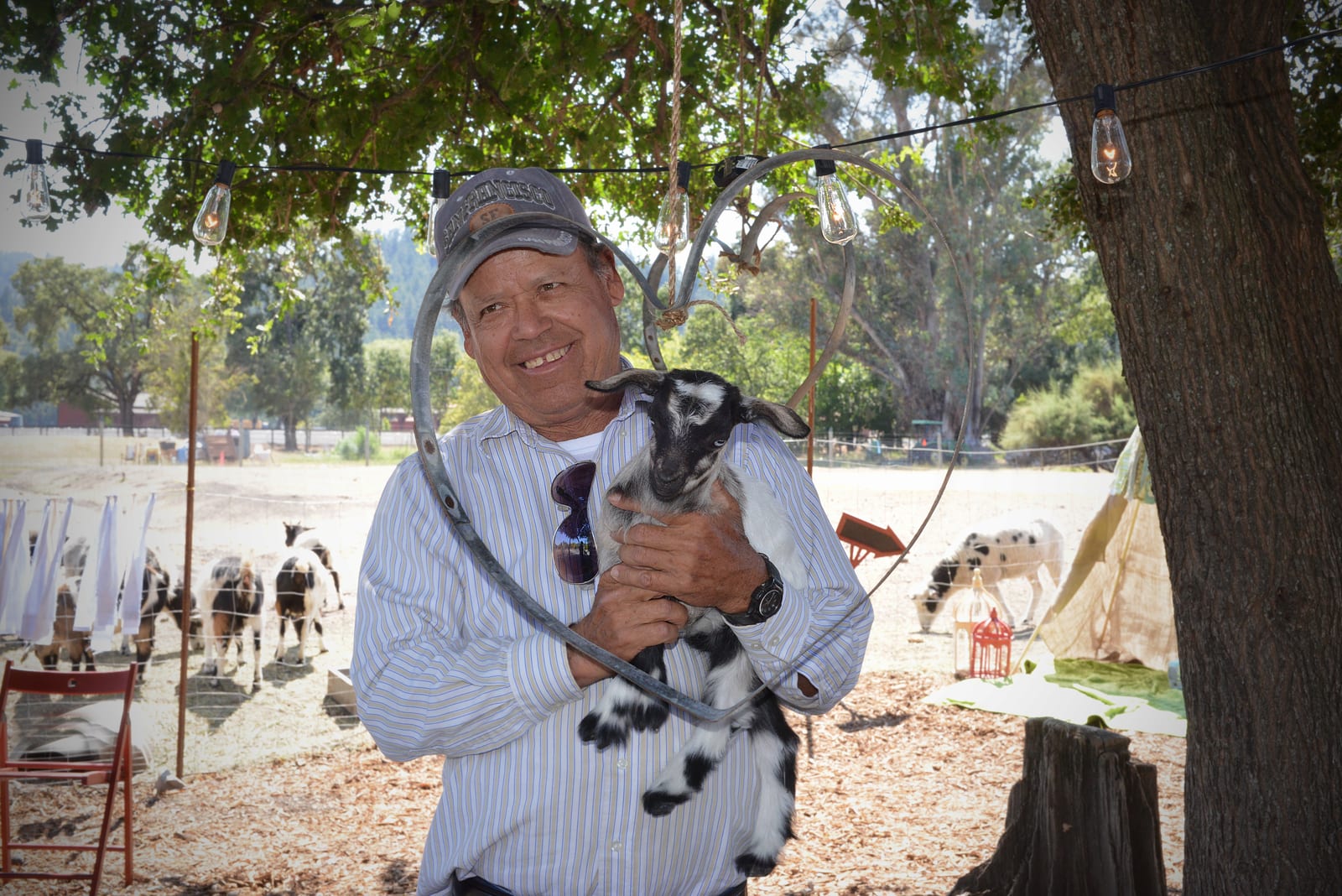 A guest holding a young goat at the Old Faithful heritage animal farm