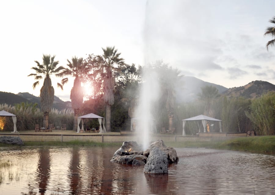 The Geyser