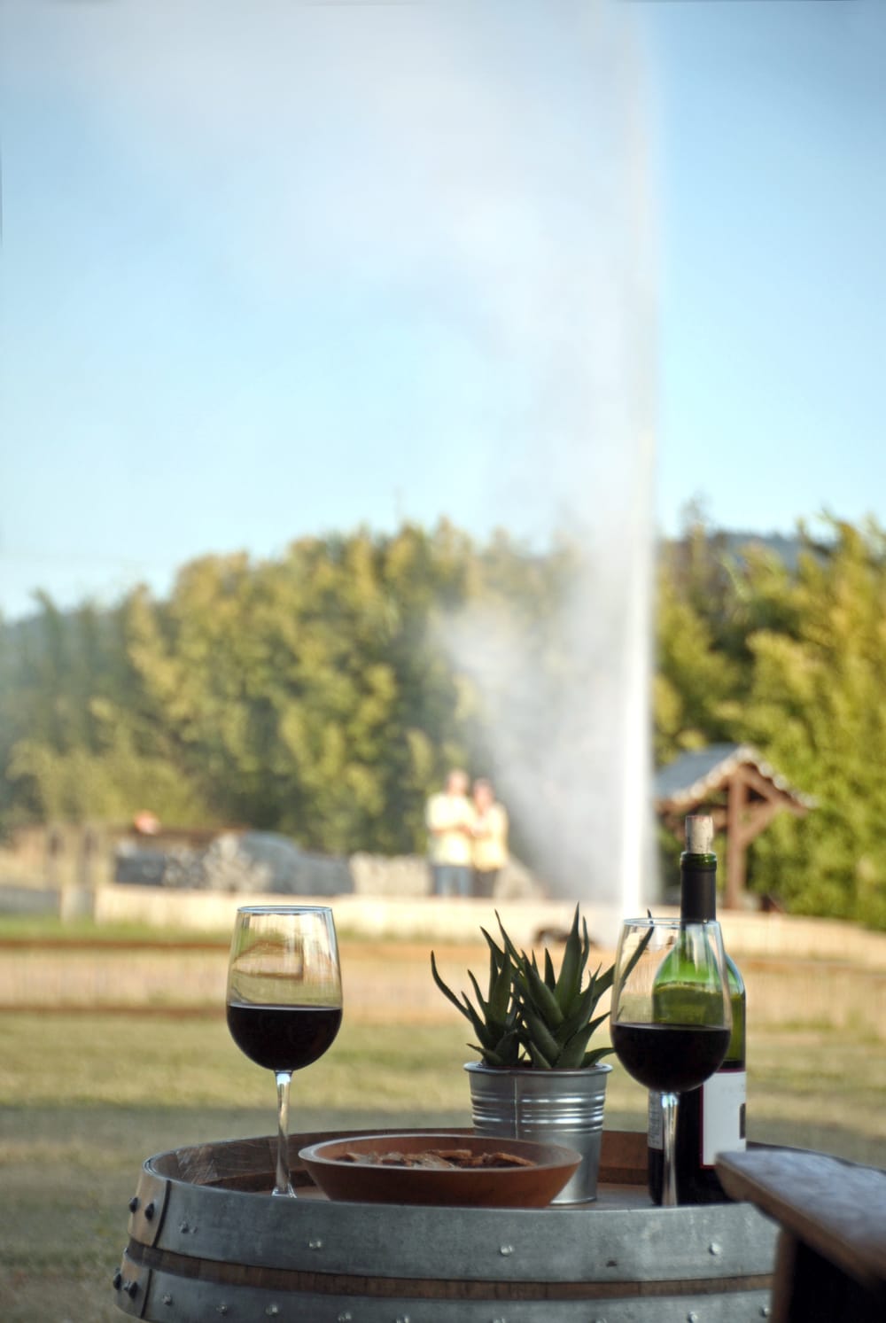 Old Faithful Geyser of California — Picnic & Bocce